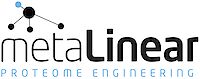 metaLinear Logo
