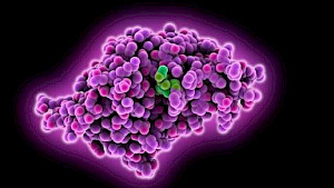 AMR Centre candidate targets superbugs with problem metallo-β-lactamase enzymes