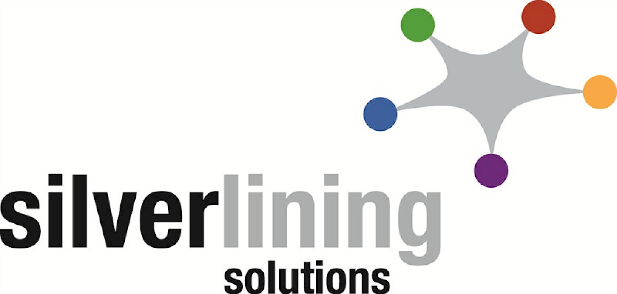 Silver Lining Solutions makes senior appointment to lead growth in the ...